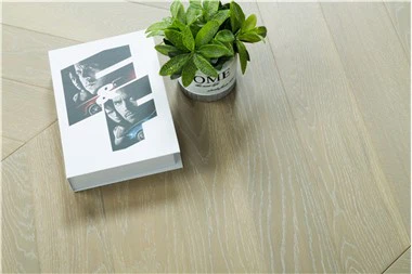 501-85 אלון ציאן